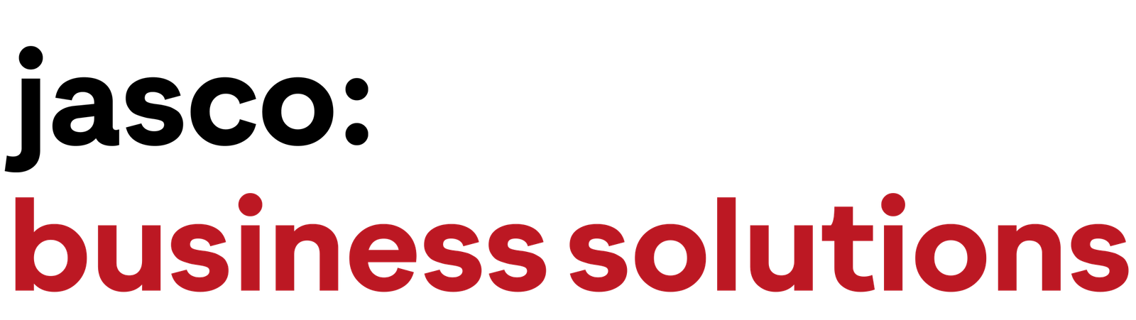 The jasco Group: Jasco Business Solutions Logo